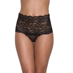 Women's Sexy Lace Hipster Panty