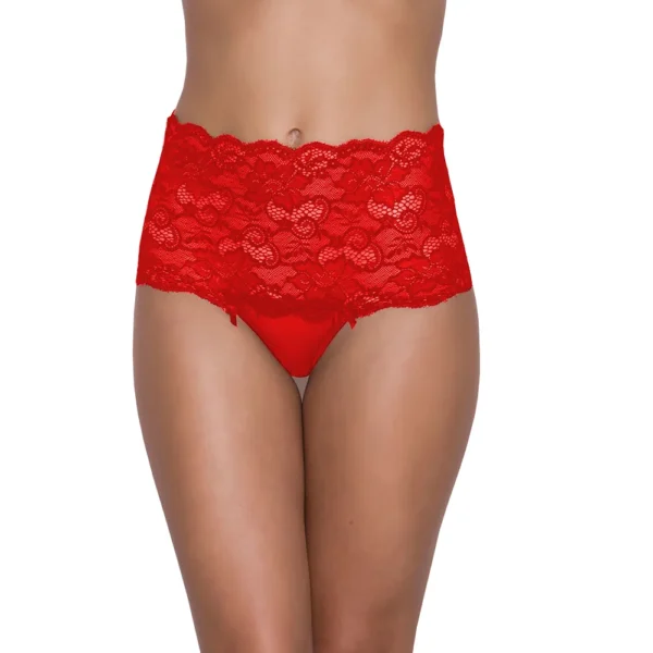 Women's Sexy Lace Hipster Panty - Image 3
