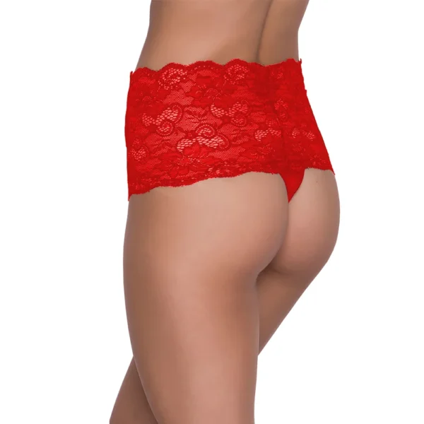 Women's Sexy Lace Hipster Panty - Image 4