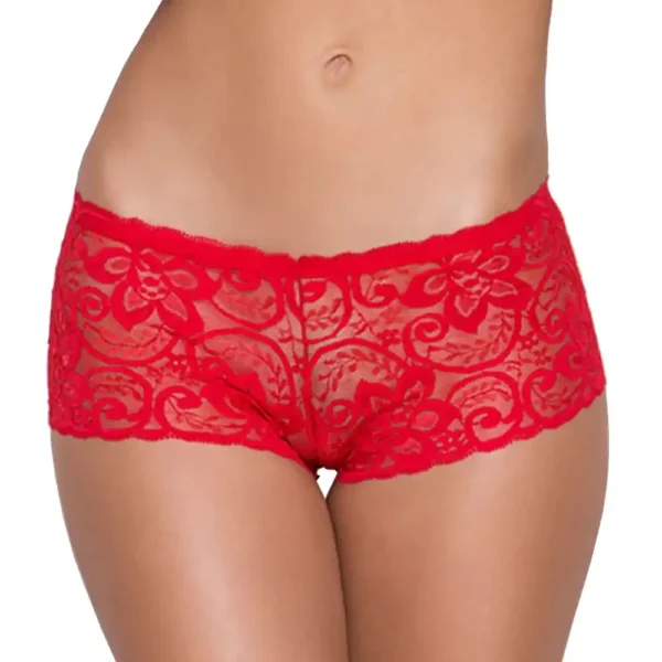 Women's Seductive Lace Boxer Sexy Panty - Image 4